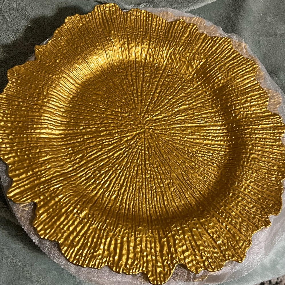 New JEVERGN 24 Pack Gold 13'' Reef Charger Plates! Perfect for a shower or party